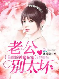 首席老公别太坏免费阅读